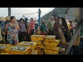 Cảng Cá Đề Gi Sáng sớm rất nhiều người Dân mua bán Cá #fishing port