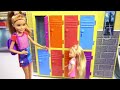 Barbie Chelsea Doll Family New Dollhouse
