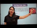 CBC Test in hindi | Complete Blood  Count Test | CBC (ब्लड रिपोर्ट) को कैसे समझें?