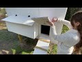 The Journey- Chicken Coop Build-It’s Done! #homesteading