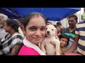 Dad's day with Beautiful Pets ❤️🐶 | Puppies Adoption at Happy Streets 😍