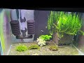 Where to get Undergravel filter box (UGF) for a Caridina shrimp tank? (UK seller)