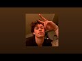 shawn mendes stitches [sped up]
