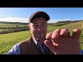 How to Hit More Pheasants | Improve Your Game Shooting | My Top 5 Game Shooting Tips