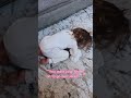 Toddler Kissed Her Boyfriend