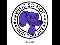 High You Are (Branchez Remix)