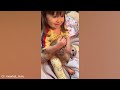 Funny ANIMAL Videos Show Us The True Meaning Of Love   Best Video 2024
