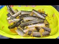 #Ramadhanvlog | bersihin ikan untuk stok & masak bukaan puasa