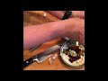 How to use a Garlic Press