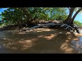 Dream relaxation beach Sceanic view in 360 video at Vieques Punta Arenas Beach Puerto Rico