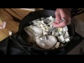 How to Identify and Eat White Puffball Mushrooms