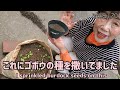 The Benefits of Wild Vegetables / Japanese Pension Life / Japanese Daily Meals