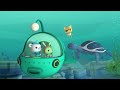 #StayHome Octonauts - The Snapper Shrimp | Full Episodes | Cartoons for Kids