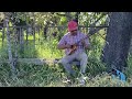 Forrest Gump movie theme song - Alan Silvestri (ukulele cover)