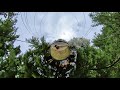 Oso X - Sentry D'Paz (Music Video) [4K] peace/epilogue (Cool Little Planet MV)