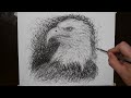 How to Draw a Bald Eagle by Worlds Fastest Scribbler