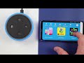 Amazon Echo Dot Kids Edition & Freetime Unlimited Review & Tutorial