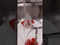 Shot glass Fountain