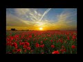 Relaxing Music to relief Stess | Meditation music, Relaxing Music