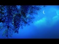 8 Hour Deep Sleep Music: Delta Waves, Relaxing Music Sleep, Sleeping Music, Sleep Meditation, ☯159