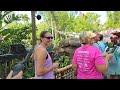 🔴 Live: Thursday Stream at Animal Kingdom for Kali River Rapids with some friends - 05/16/24 pt 2