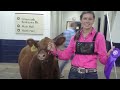 How To Prepare Your Livestock for Show Season