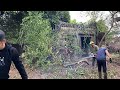 4 boys clean and cut down trees in one day | The house is covered with large trees