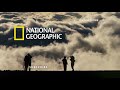 Dragon's Blood Trees of Socotra Are Endangered | National Geographic