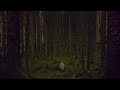 Echo & The Bunnymen - Forgiven (slowed + reverb)