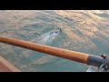 bass flyfishing from a shell