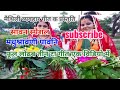 सावन स्पेशल मधुश्रावणी पावनि पूजा गीत। Mithilanchal pavani puja phoollodhak Geet...