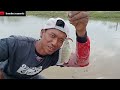 Spot sepetak ternyata banyak ikan nya.