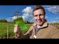 THE BEST WAY TO RESEED A FIELD!?  |  ENTIRE grassland reseeding process START to  FINISH