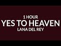 Lana Del Rey - Yes To Heaven [1 Hour] | I've got my eye on you [TikTok Song]