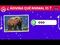 Adivina 30 ANIMALES 🦁🐢🦉 - De Nivel Fácil a IMPOSIBLE 🤯 | ¿Cuánto Sabes de Animales? 🧐