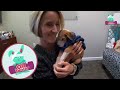 These Special Puppies Need Our Help Getting All Better! | Animal Videos | Dodo Kids