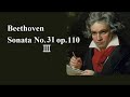 ベートーヴェン ピアノ・ソナタ 第31番 変イ長調 Op 110  バックハウス Beethoven Piano Sonata No.31 As dur