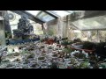 mini and micro Sinningia hybrid project - greenhouse tour