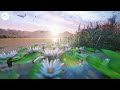 Ambient music for Relaxation and Meditation Mix