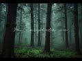 평온한 숲속 비 오는 밤 | 잠이 솔솔 오는 자연의 소리 ASMR | 잠들기 전 듣는 빗소리 | 숲  속 빗소리로 스트레스 해소
