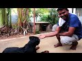 TRAINING FOR RAMBO | basic comments | வால்பையன் ராம்போ