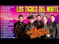 Lo mejor del álbum completo de Los Tigres del Norte 2024 ~ Mejores artistas para escuchar 2024