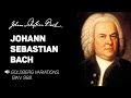 Расслабляющая классическая музыка Bach, Weber, Chopin, Tsjaikovski.