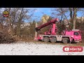 Extreme Dangerous Monster Stump Removal Excavator - Fastest Excavator Chainsaw, Wood Chipper Working