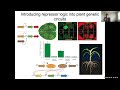Dr. Patrick Shih: Redesigning Plant Metabolism with Synthetic Biology
