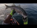 Trolling the ocean with a tube for stripers/striped bass