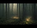 Enchanted - Soothing Meditative Ambient Music - Relaxing Fantasy Ambient