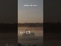 難得孤寂 - A-Lin | Cover（小黃Harry）