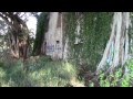 Hidden Maui - Old Cannery Ruins