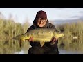 Korda Masterclass 8: Winter Carp Fishing | Danny Fairbrass (2021)